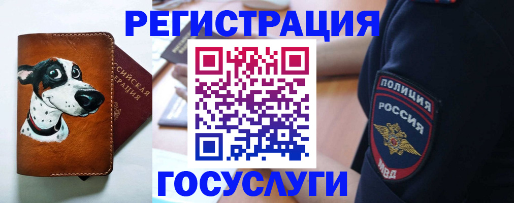 временная регистрация в квартире в Заринске
